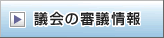 �c��̐R�c���