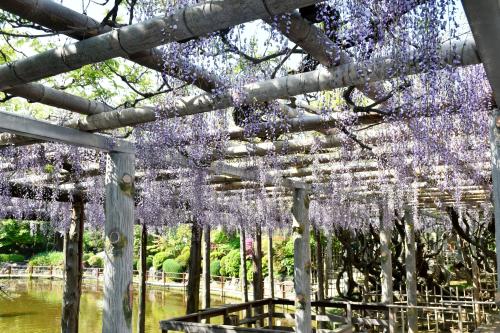 越谷久伊豆神社の写真