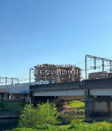市公式TikTok「こしがや沼に落ちてみた。」の投稿8つ目を示す画像