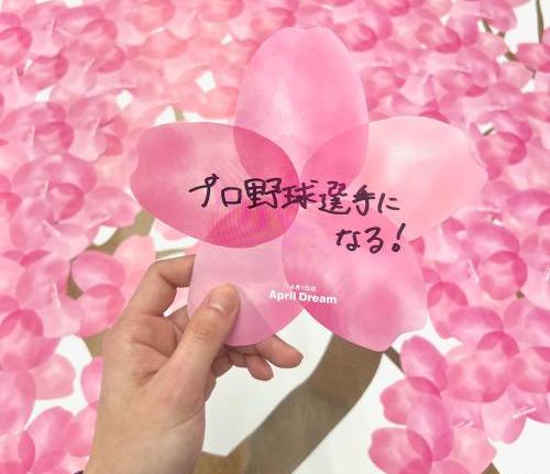 プロ野球選手になるという夢を記入した桜の形をしたカード