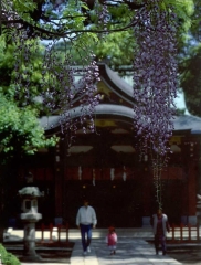 久伊豆神社