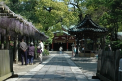 藤と久伊豆神社