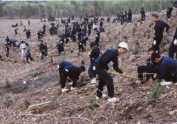 あだたら高原「ふれあいの森」の植樹【昭和61年】