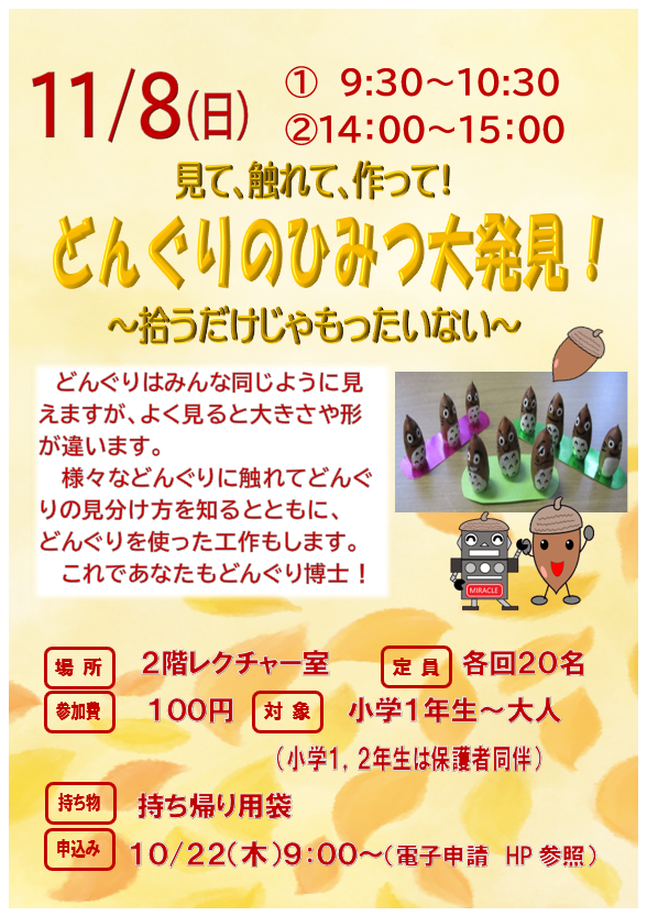 11月8日 日曜日 特別講座 見て、触れて、作って!どんぐりのひみつ大発見!~拾うだけじゃもったいない~