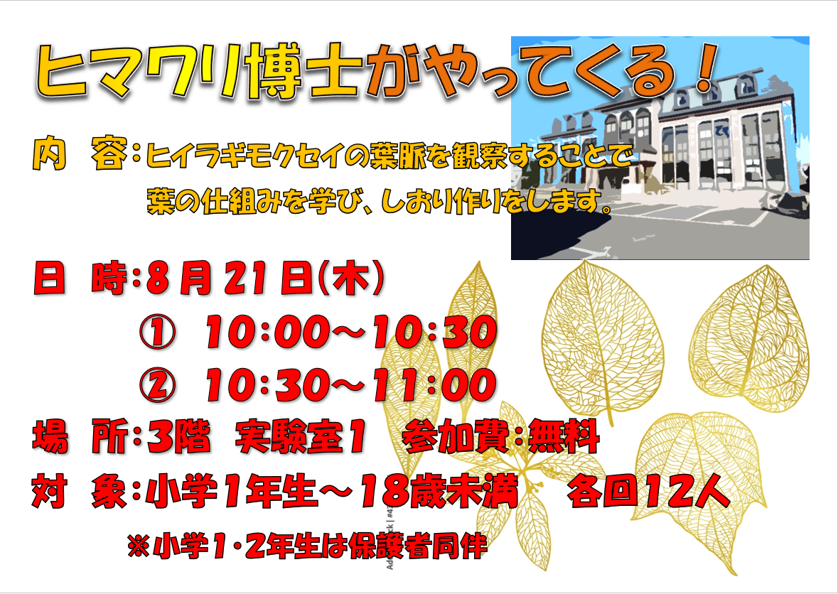 8月21日、木曜日、特別講座、ヒマワリ博士がやってくるInミラクル　柊モクセイの葉を使って、葉脈の栞づくりをします。