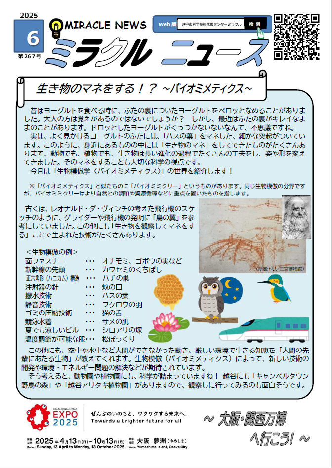 令和７年6月、ミラクルニュース