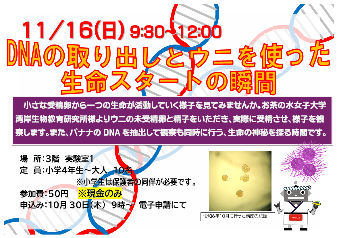 11月16日　日曜日　特別講座　DNAの取り出しとウニを使った生命スタートの瞬間