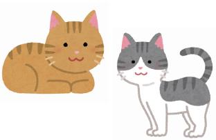 猫のイラスト