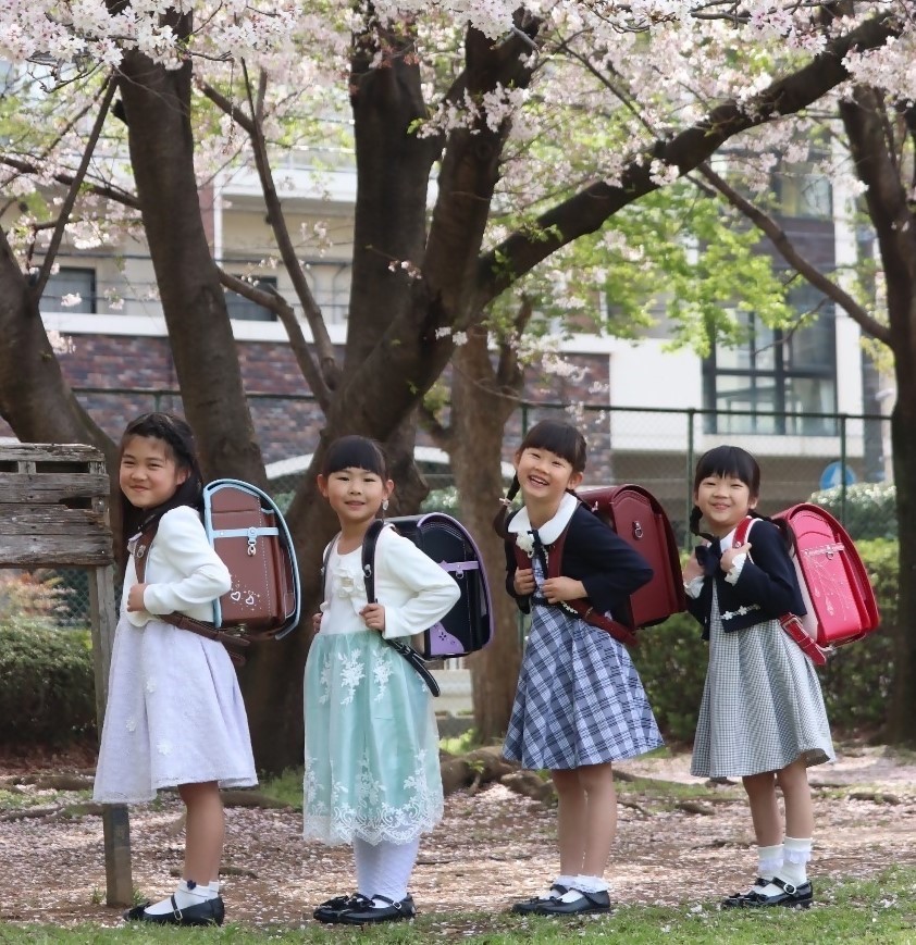 議会だより219号表紙写真