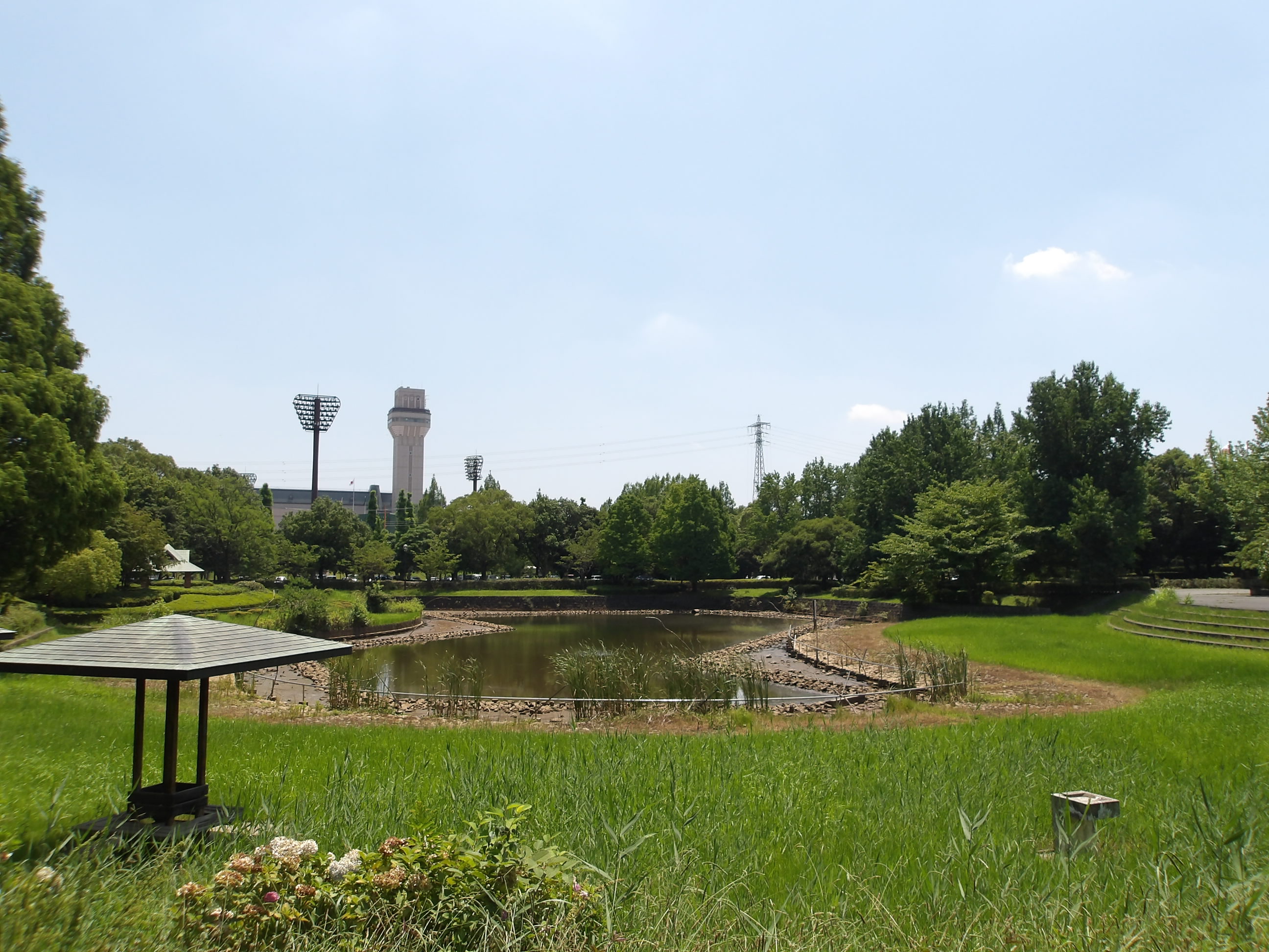 総合体育館周辺の公園の写真