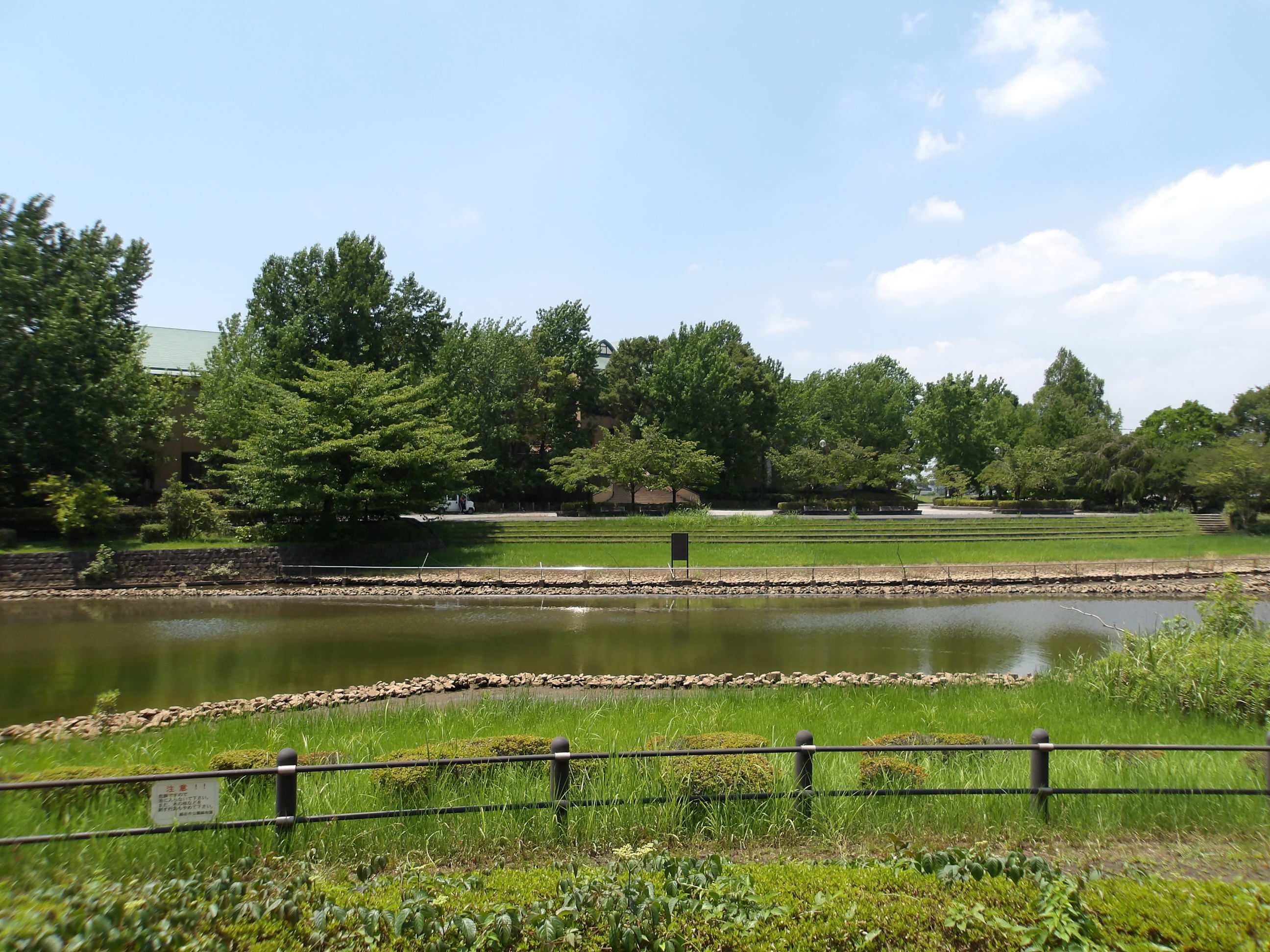 総合体育館周辺の公園の写真