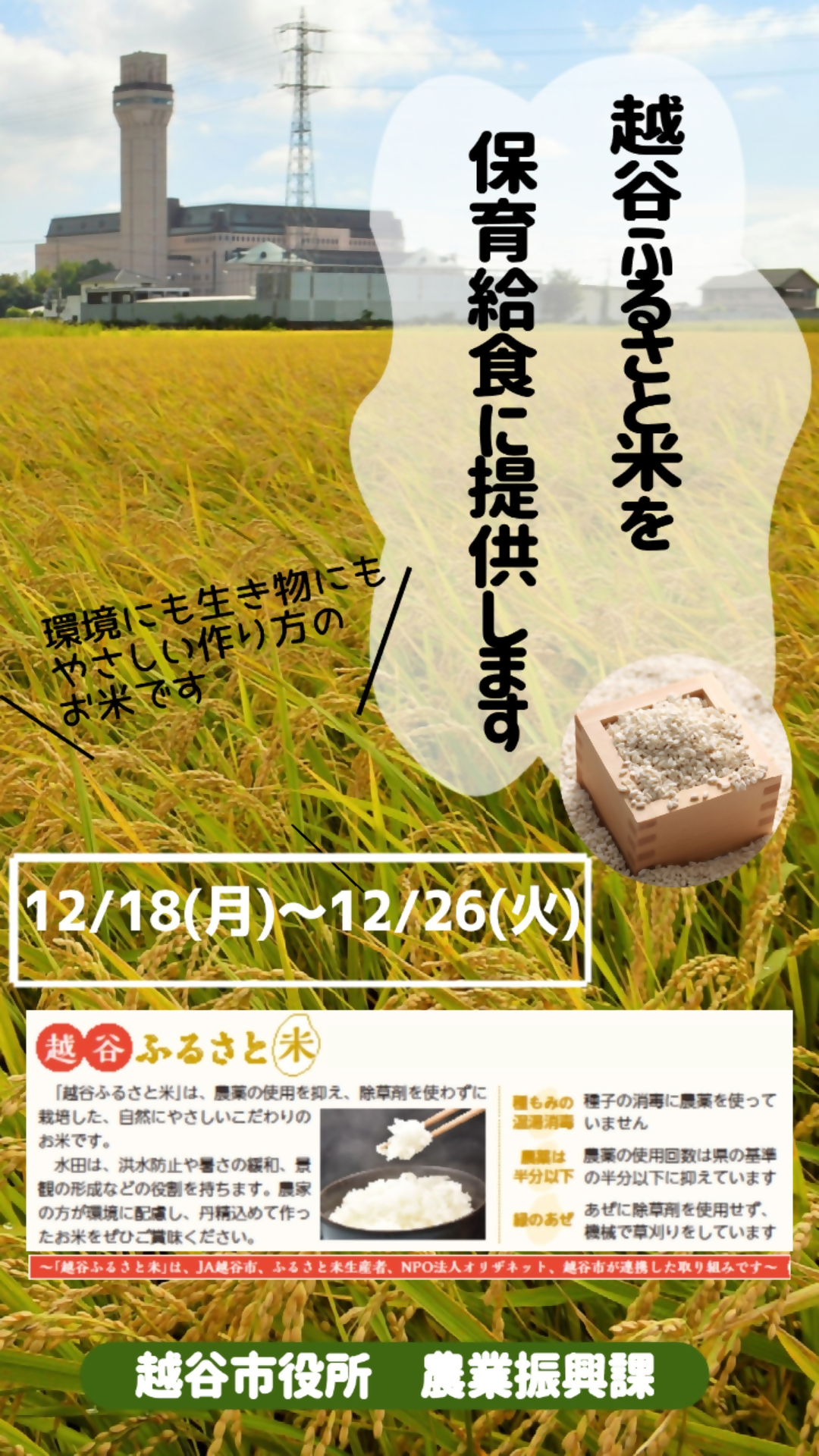 越谷ふるさと米を保育給食に使用