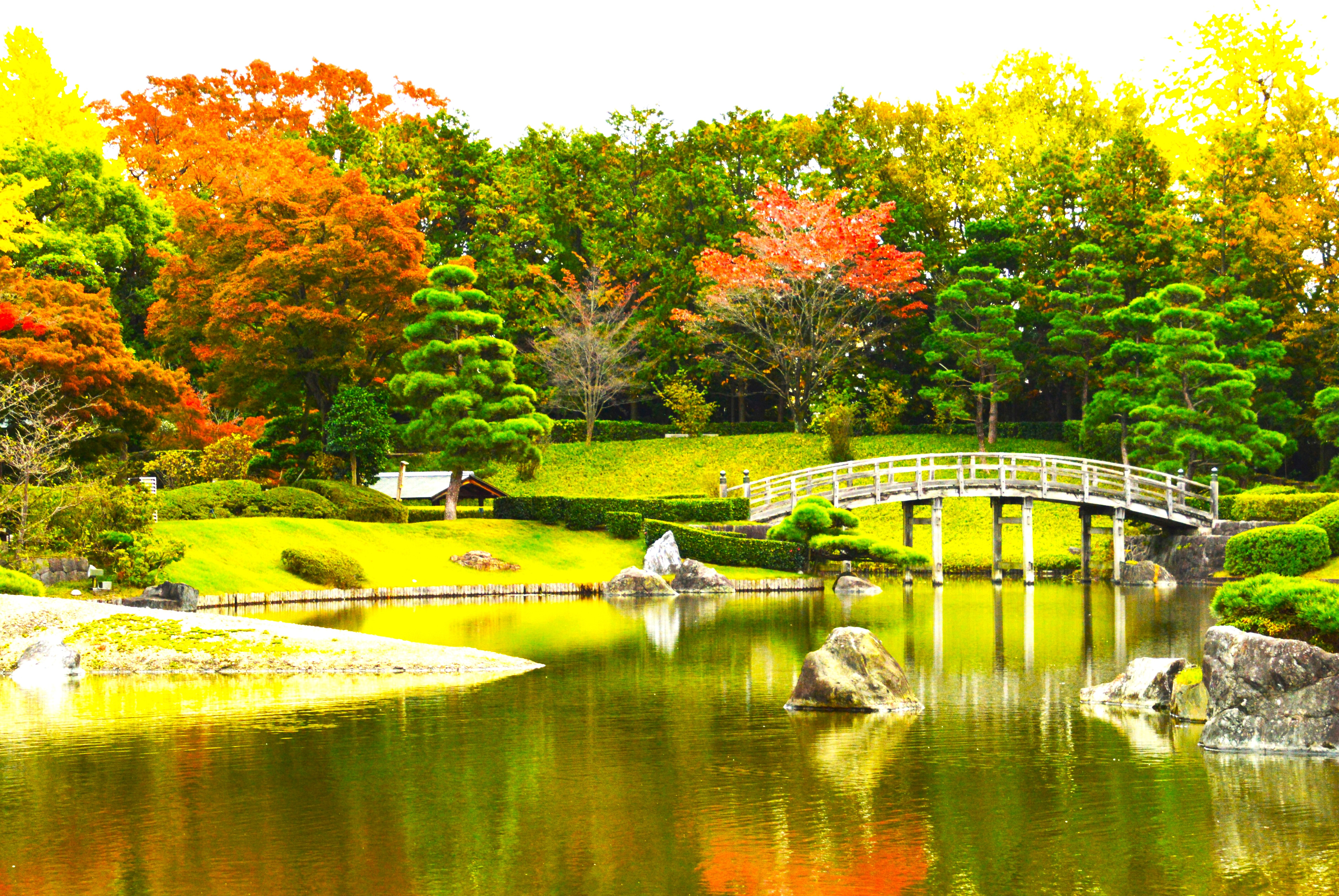 紅葉と太鼓橋の写真