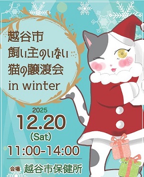 令和7年度越谷市飼い主のいない猫の譲渡会 in winter、開催します！！