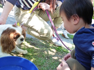 無料開園での様子～犬