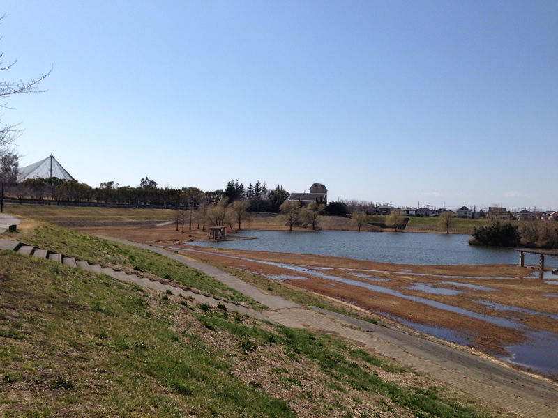 大吉調節池親水公園1