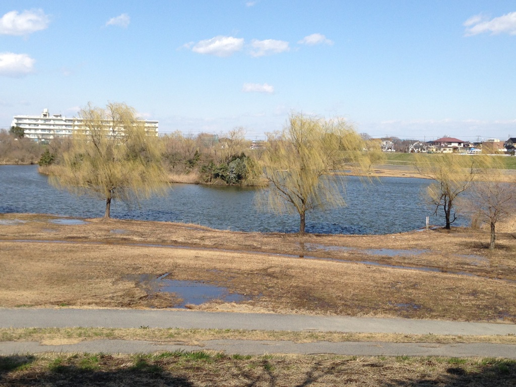 調節池親水公園3