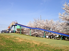 ローラーすべり台全景