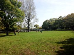 公園小2