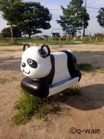 動物3