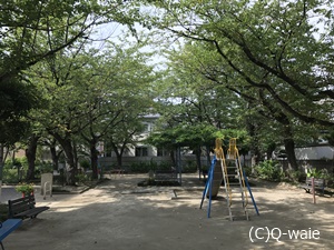 緑の多い公園