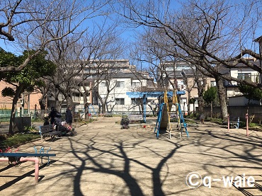 カンナ公園2