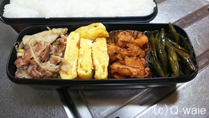 マユお弁当1