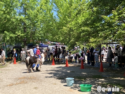 ゴールデンウイーク画像