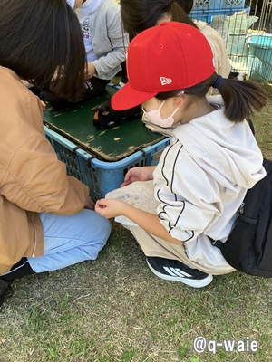 ゴールデンウイーク画像