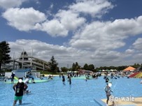 プール 画像