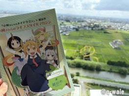 田んぼアート 画像