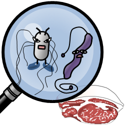 生肉のばい菌イメージ