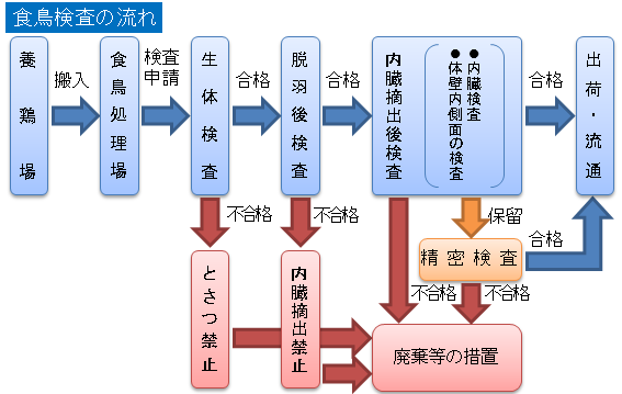 食鳥検査の流れ