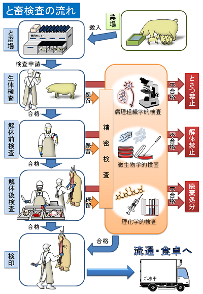 と畜検査フローチャート