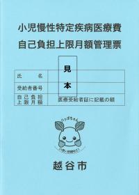 小児慢性特定疾病医療費自己負担上限月額管理票