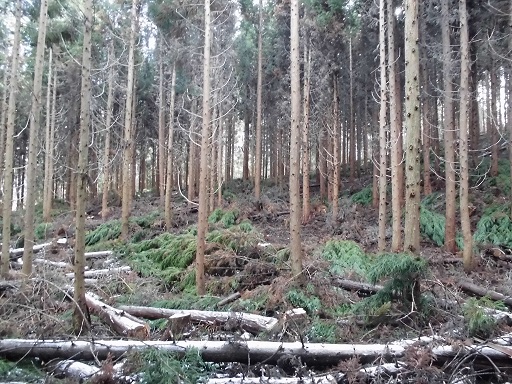 福島地区第7期の様子