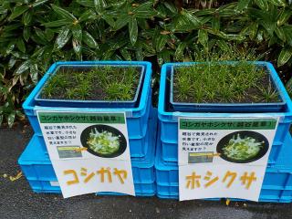 アリタキ植物園展示状況