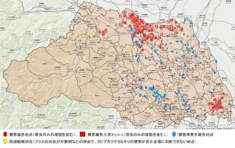 クビアカツヤカミキリ調査地点マップ