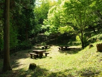 こしがや・おがの交流の森