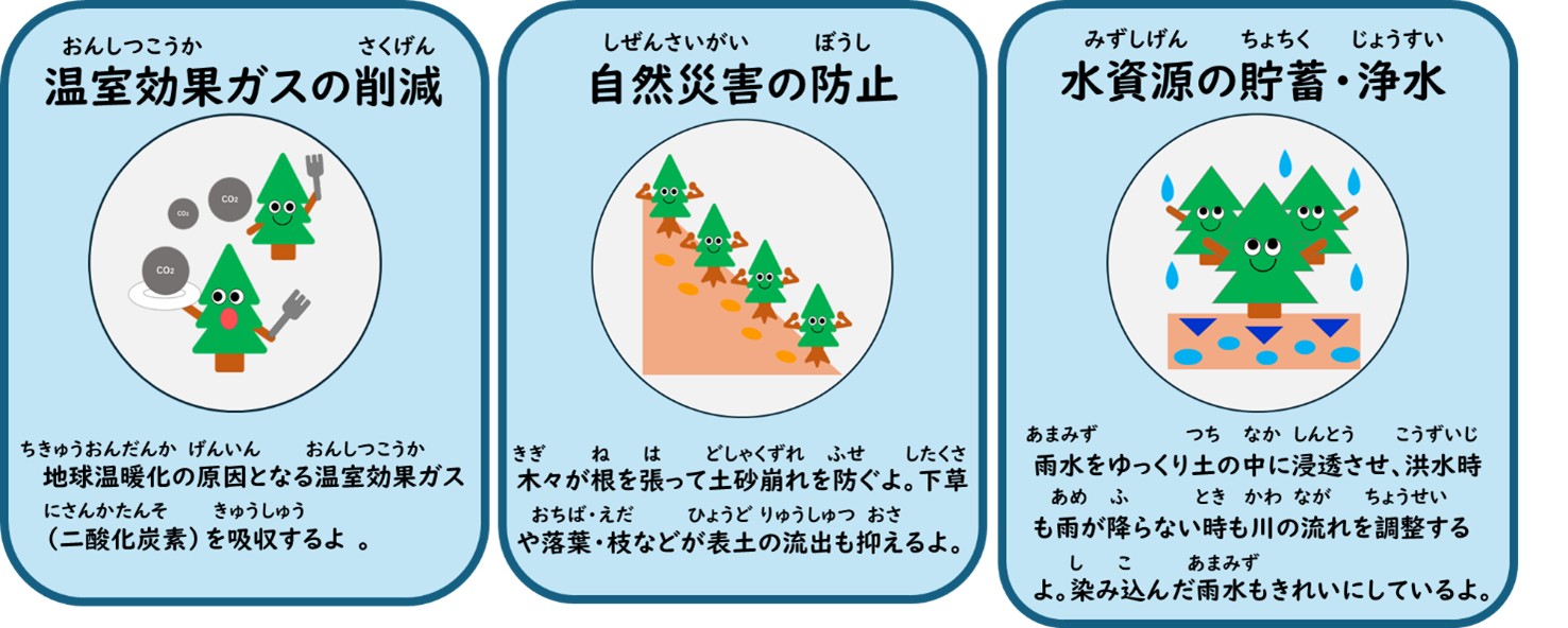 森林のはたらき