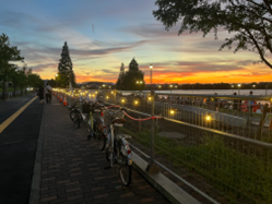 会場電灯への電力供給の様子