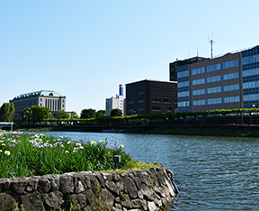 水の入った葛西用水