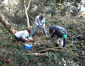 公園維持管理団体の活動の様子