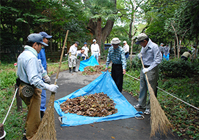 草花の手入れや落ち葉の掃除もしています