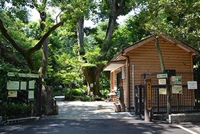 越谷アリタキ植物園