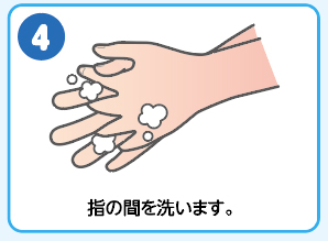 (4)指の間を洗います。