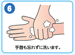 (6)手首も忘れずに洗います。