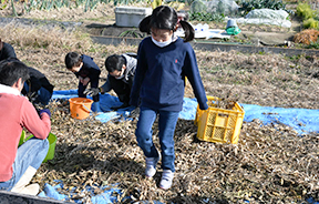 参加した子ども達は楽しく脱穀体験をしていました