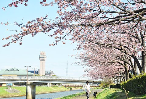 新方川緑道