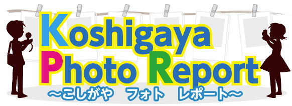 Koshigaya Photo Report　～こしがや　フォト　レポート～
